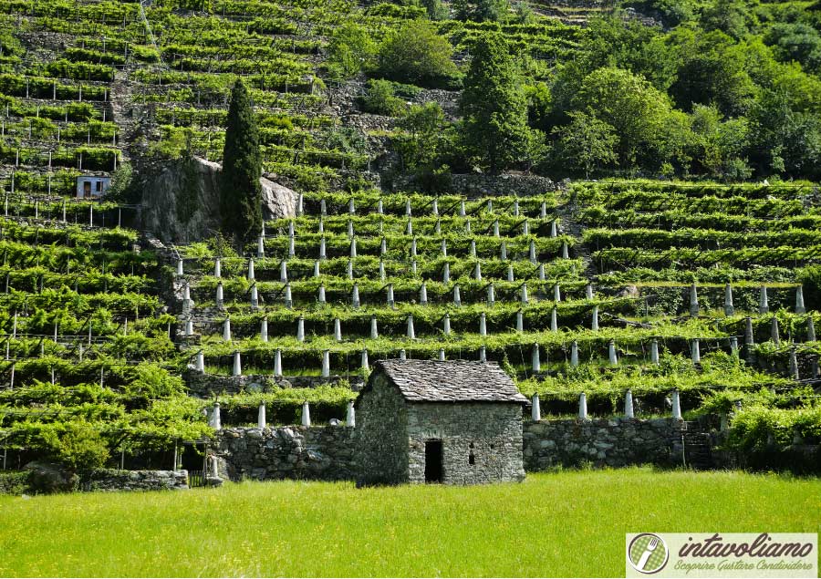 Valle Daosta intavoliamo
